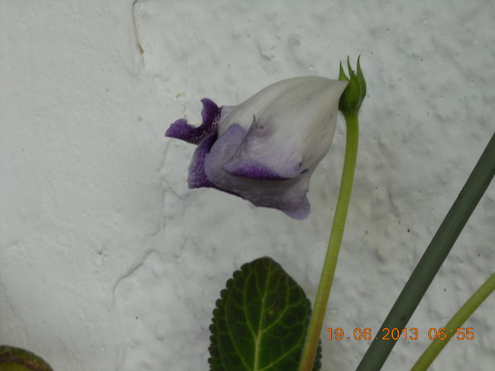017