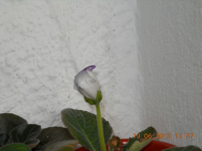 022