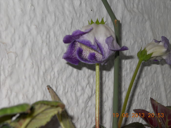 027
