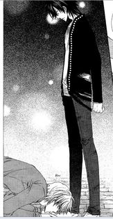 yuichi and kaito 19 - Radical Blood Monster