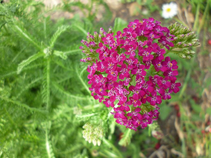 P1020101