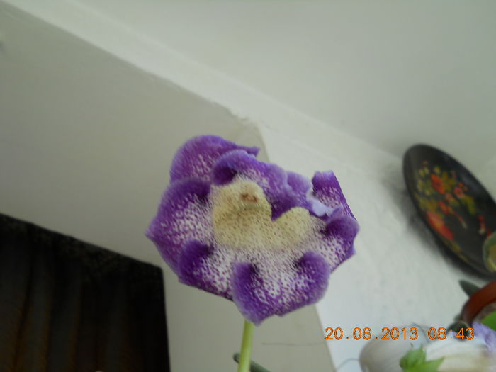019