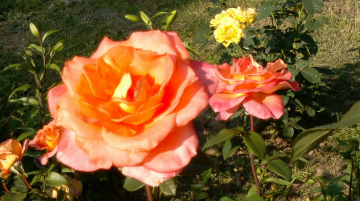 19.06.2013 doris tiserman