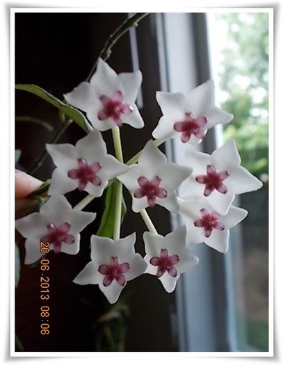 DSCN6835