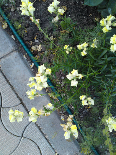 053 - Pozele anului 2013