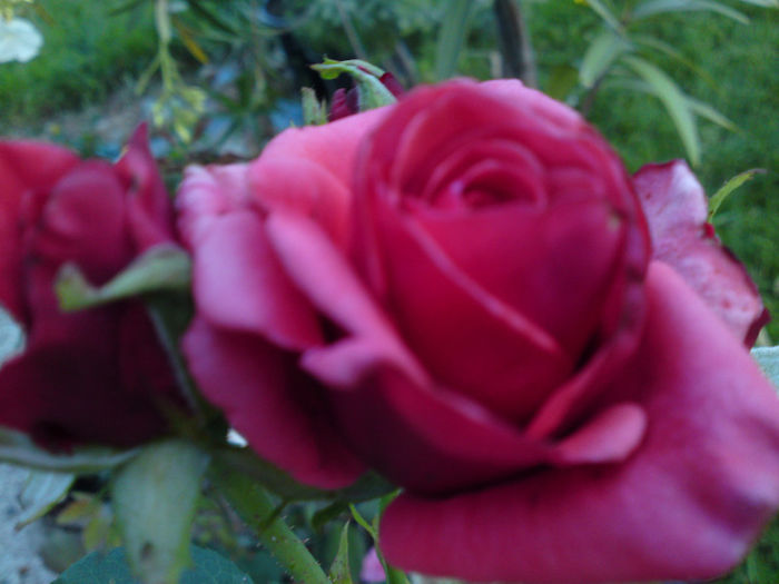 057 - Pozele anului 2013