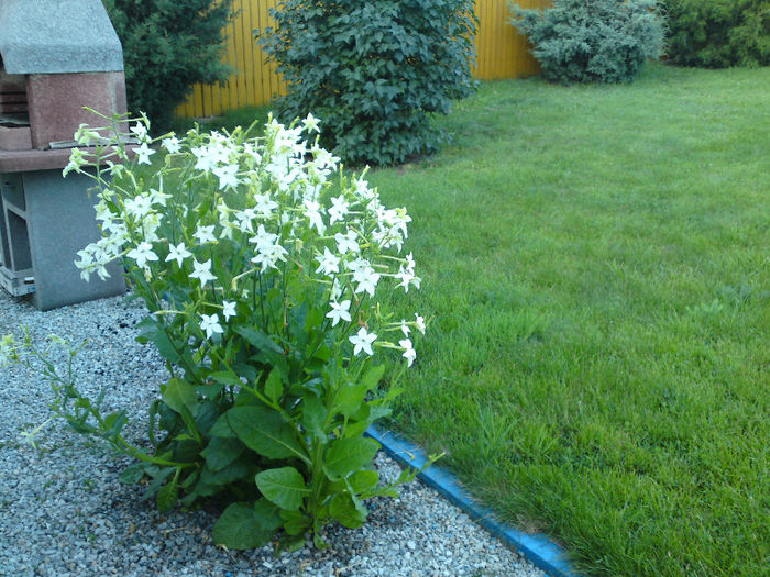 063 - Pozele anului 2013