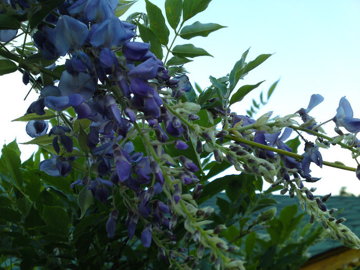 064 - Pozele anului 2013