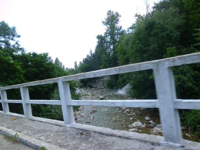 P1050931