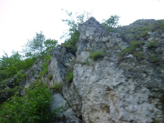 P1050929