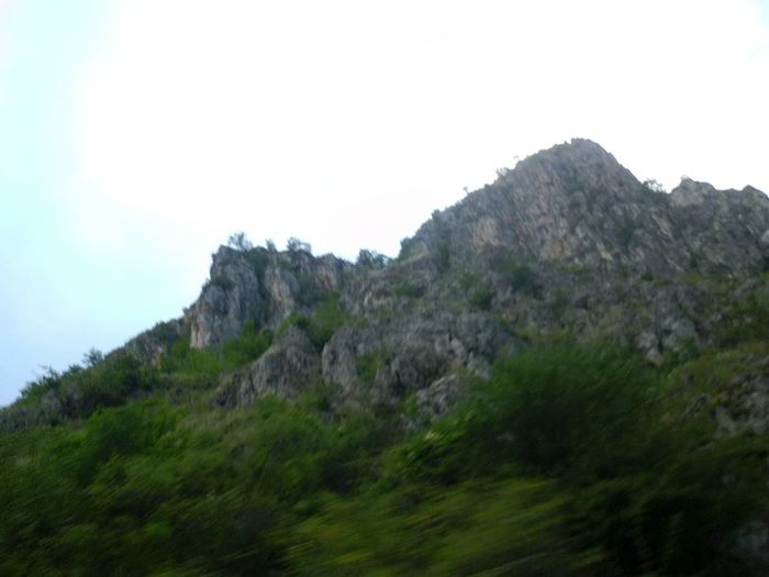 P1050928