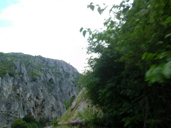 P1050924