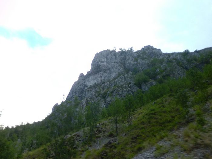 P1050923