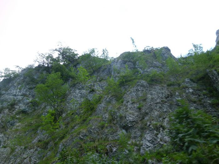 P1050922