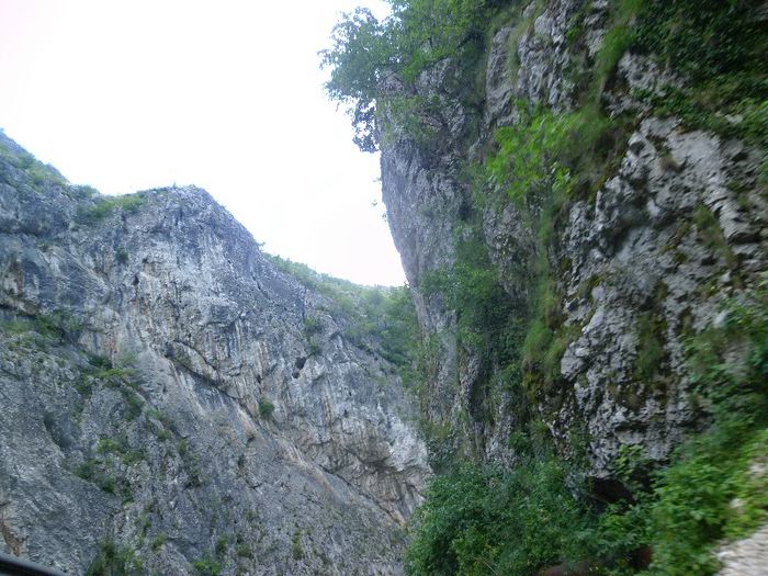 P1050921