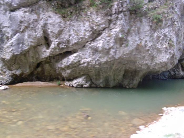 P1050918