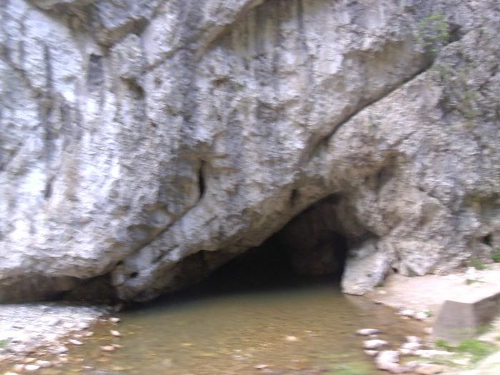 P1050917