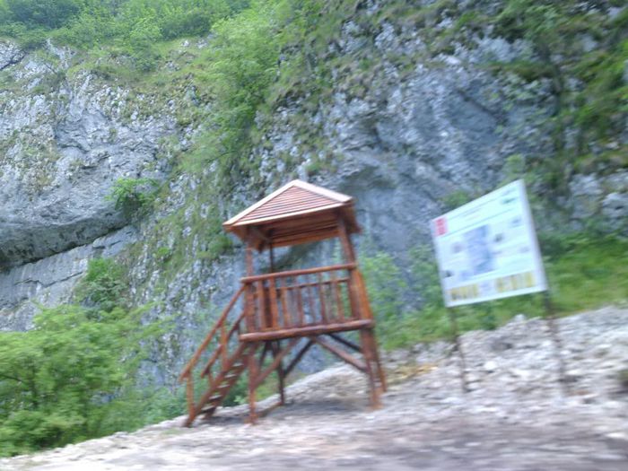 P1050914