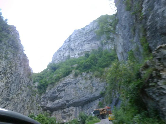 P1050913