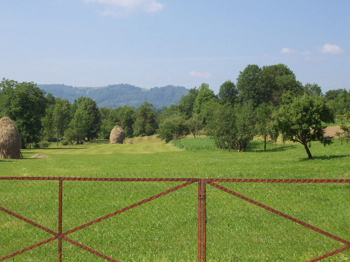 Clai de fan - Peisaje locale