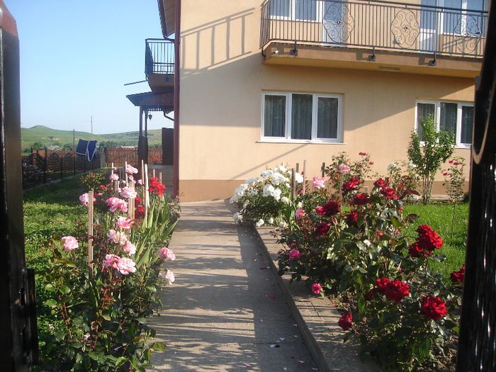 DSC03405