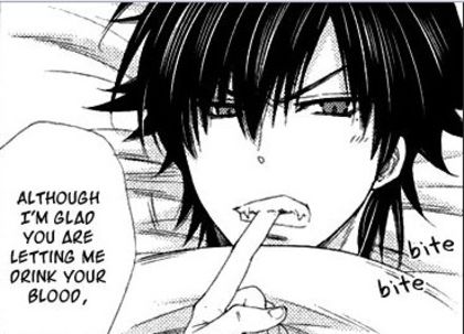 kaito 41