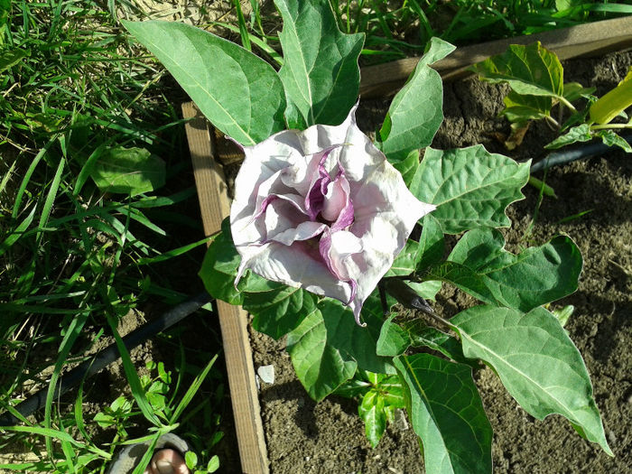 20130620_174437