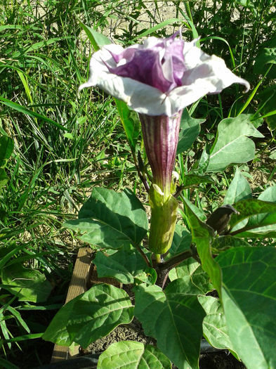 20130620_174455