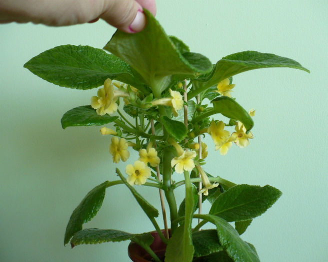 P1450259