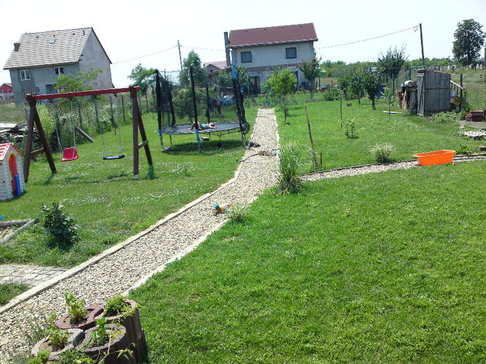 001 - Pozele anului 2013