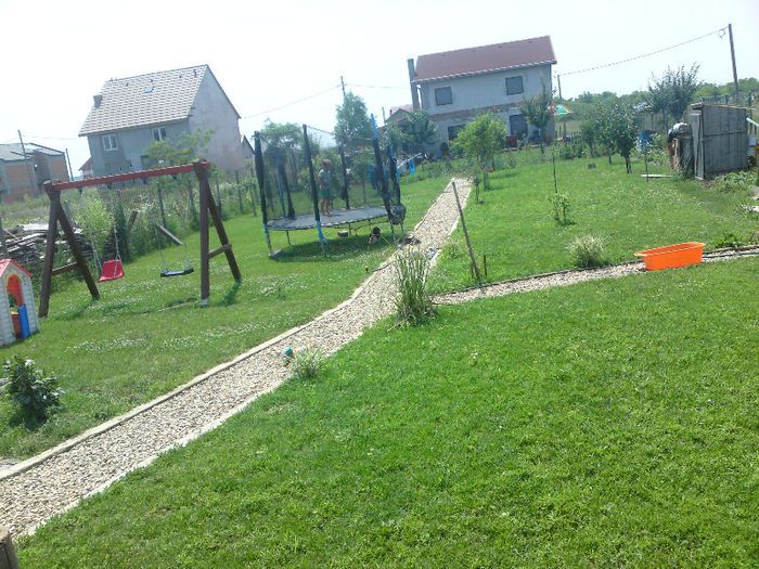 004 - Pozele anului 2013