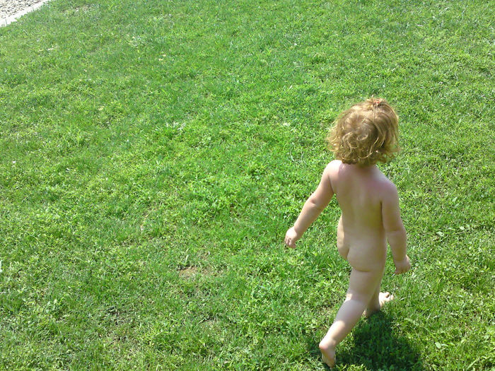 005 - Pozele anului 2013