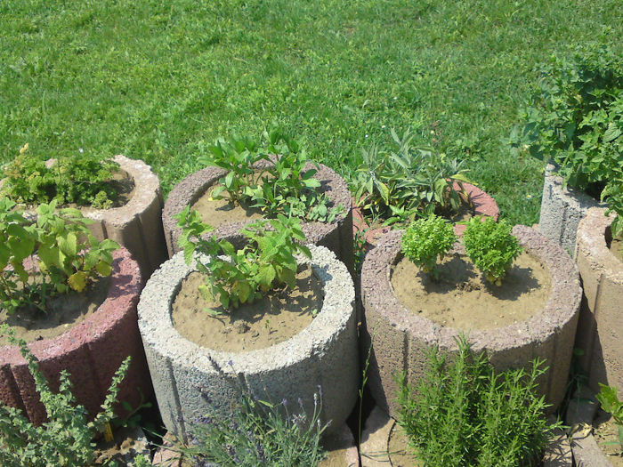 013 - Pozele anului 2013