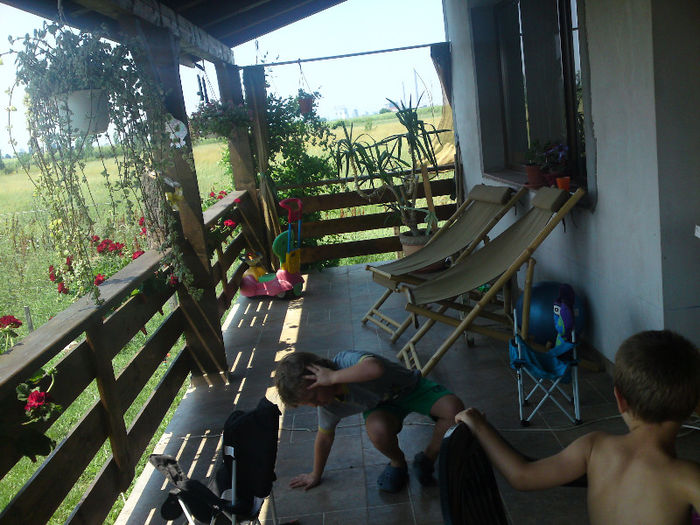 015 - Pozele anului 2013