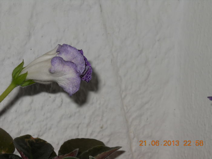 011
