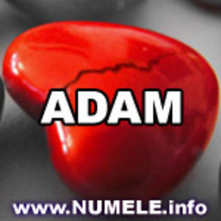 002-ADAM avatare personalizate cu nume - y__Avatare cu numele Adam
