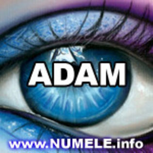 002-ADAM poze avatar cu nume