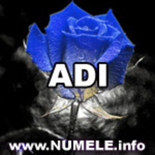 006-ADI imagini cu nume - y__Avatare cu numele Adi