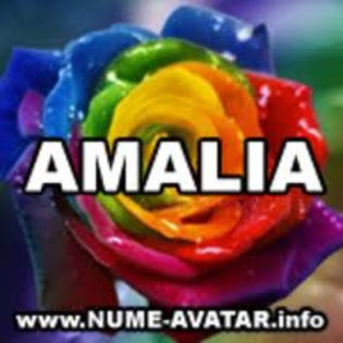 image - y__Avatare cu numele Amalia