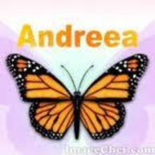 images - y__Avatare cu numele Andreea