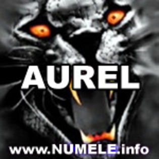 027-AUREL avatare nume baieti - y__Avatare cu numele Aurel