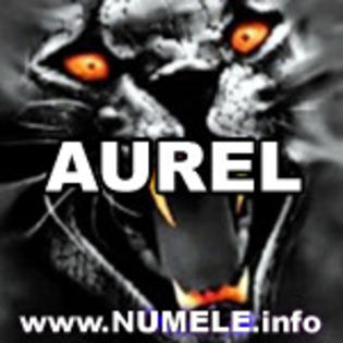 027-AUREL avatare nume baieti