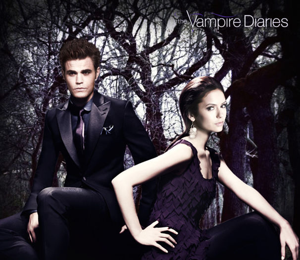 tvd (13) - Elena and Stefan