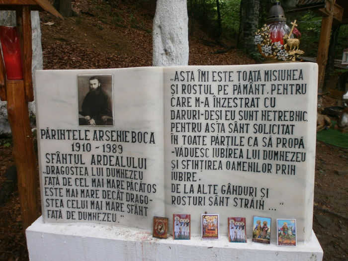 P5261546