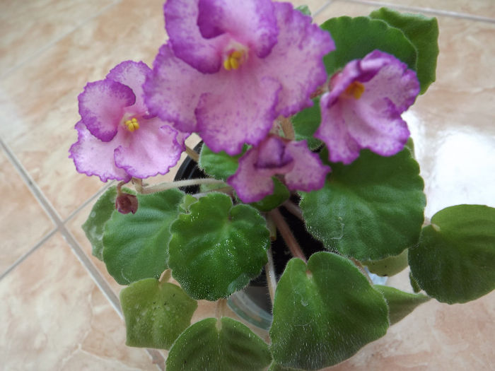 DSCF0085