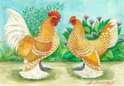 81876423_DJGIGFL - postere