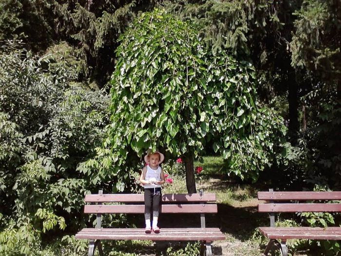 1010746_596597400372865_1516904270_n