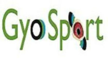 ro gyosport