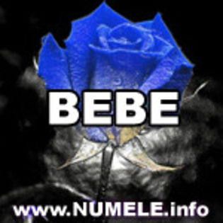 029-BEBE imagini cu nume