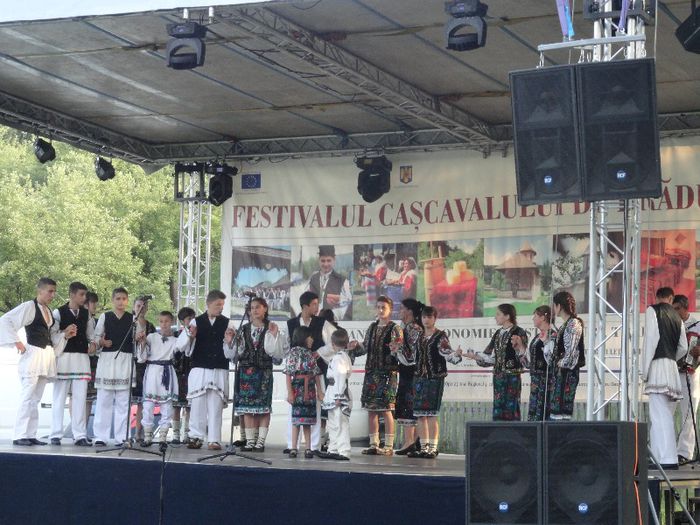 DSC07135 - festivalul cascavalului de bradulet 2013